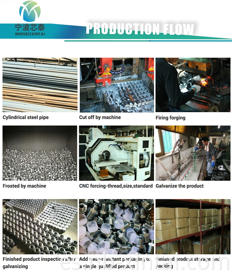 Fabricante de China Fiting de tubería de acero inoxidable 12611 HEMBLE HEXGON HEXGON Forma BSP Hydraulic Tubo